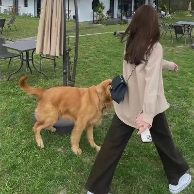 潮浪王子
